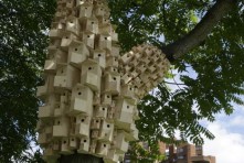Casas para aves en parques urbanos Londres