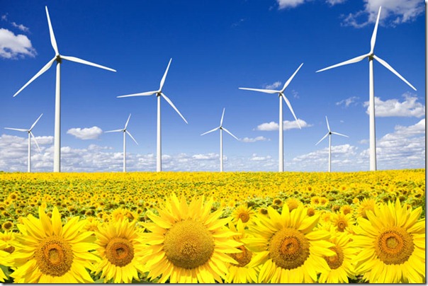 Wind turbines on sunflowers field